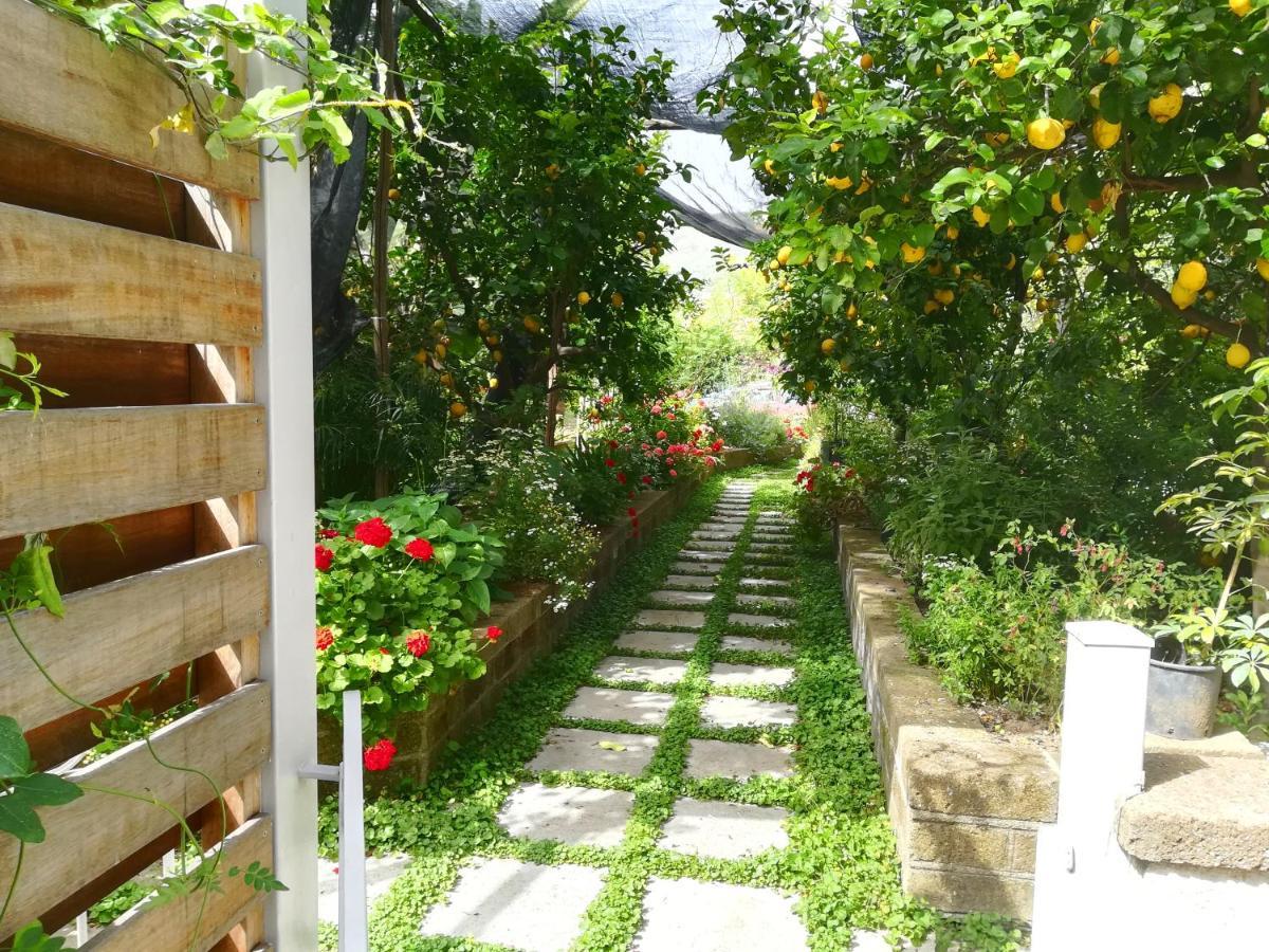 Il Vialetto Dei Limoni Panzió Vico Equense Kültér fotó